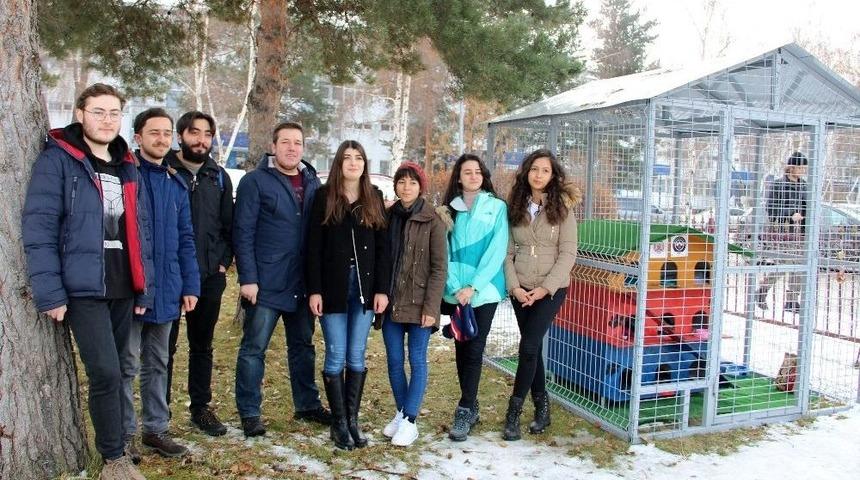 &Uuml;niversite &Ouml;ğrencilerinden Kamp&uuml;steki Kediler İ&ccedil;in &ldquo;barınma Evi&rdquo;