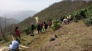 Giresun’da Tıbbi Ve Aromatik Bitkiler Uygulama Bahçesi Oluşturuldu
