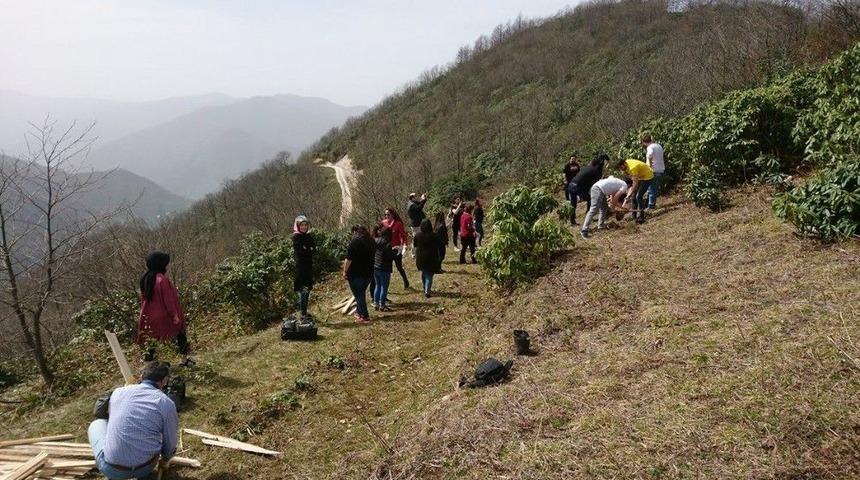 Giresun’da Tıbbi Ve Aromatik Bitkiler Uygulama Bahçesi Oluşturuldu