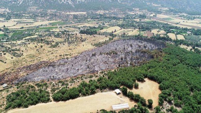 Seydikemer’de Yanan Alan Havadan Görüntülendi