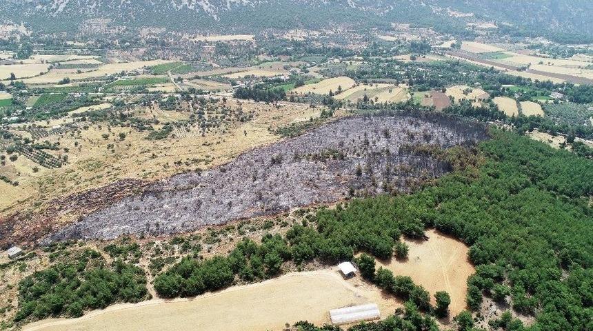 Seydikemer&rsquo;de Yanan Alan Havadan G&ouml;r&uuml;nt&uuml;lendi