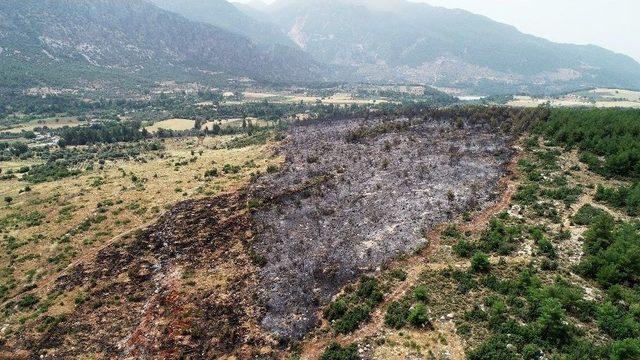 Seydikemer’de Yanan Alan Havadan Görüntülendi