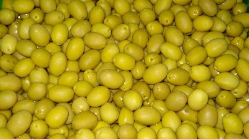 Zeytin Ve Zeytinyağı İhracat&ccedil;ıları Yeni Sezonda Rekor İhracat Bekliyor