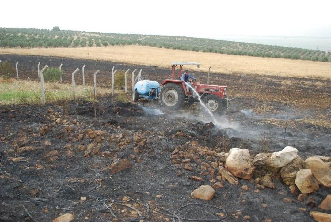 Manisa&rsquo;da Bin 500 D&ouml;n&uuml;m Ekili Alan K&uuml;l Oldu