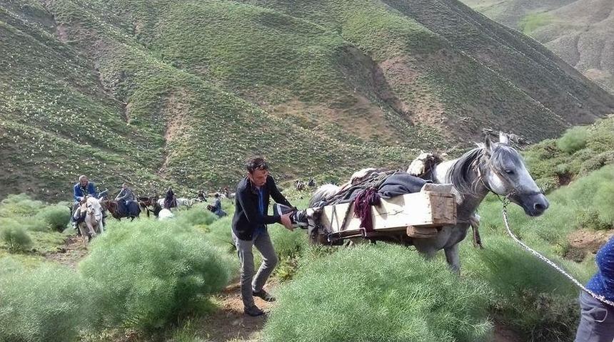 Koyun Otlatırken Yıldırım &Ccedil;arpan &Ouml;ğrenci &Ouml;ld&uuml;