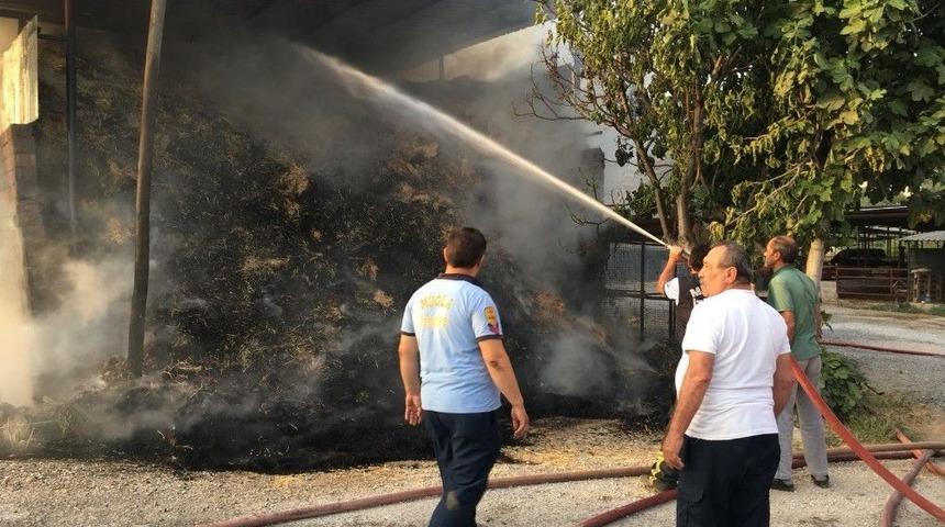 Milas&rsquo;ta Yangın