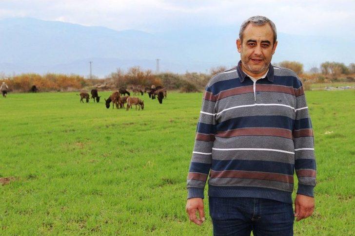 (özel Haber) Eşek Sütüyle Şifa Buldu, Çiftliğini Kurdu G5