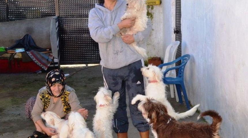 Hayatını Sokak Hayvanlarına Adadı