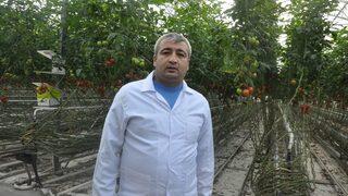 (özel Haber) Domates Fiyatlarındaki Artışa Sandıklı Sera Domatesi Dur Diyecek