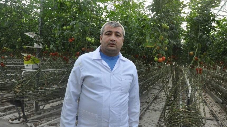 (özel Haber) Domates Fiyatlarındaki Artışa Sandıklı Sera Domatesi Dur Diyecek