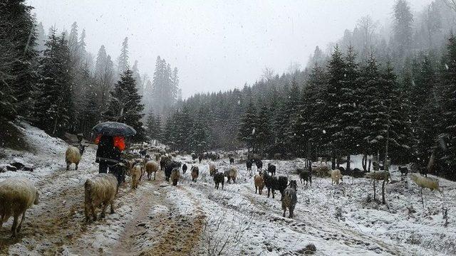 Bahar Ortasında Dikmen’e Kar Yağdı