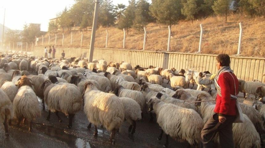 Gen&ccedil; &Ccedil;ift&ccedil;i Hibe Başvuruları Başladı