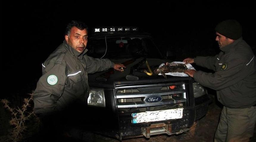 Karaman’da Far Avı Yapanlara 21 Bin Lira Para Cezası