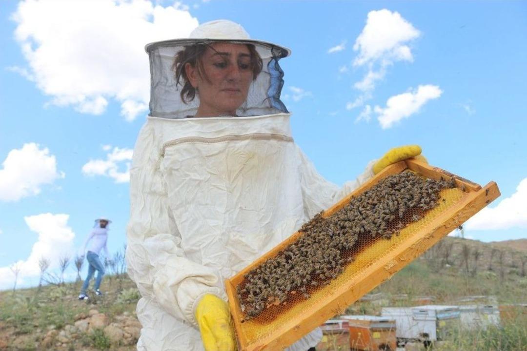 Adıyaman&rsquo;da &Ccedil;ift&ccedil;iler Arıcılığa Y&ouml;neliyor
