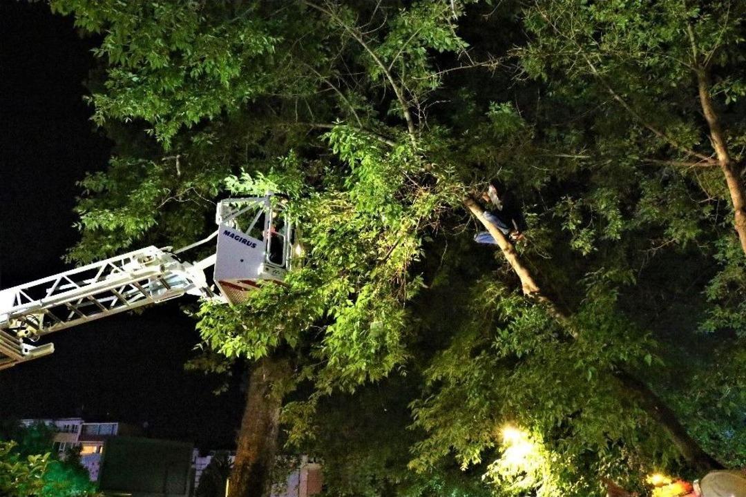 (&ouml;zel) Kitap Almak İ&ccedil;in Tırmandığı Ağa&ccedil;ta Mahsur Kaldı