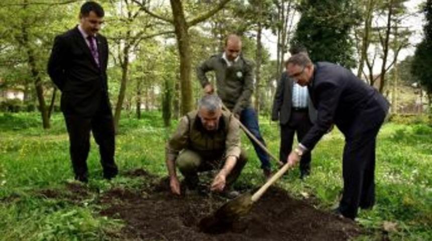 Bin Meyve Fidanı Toprakla Buluştu