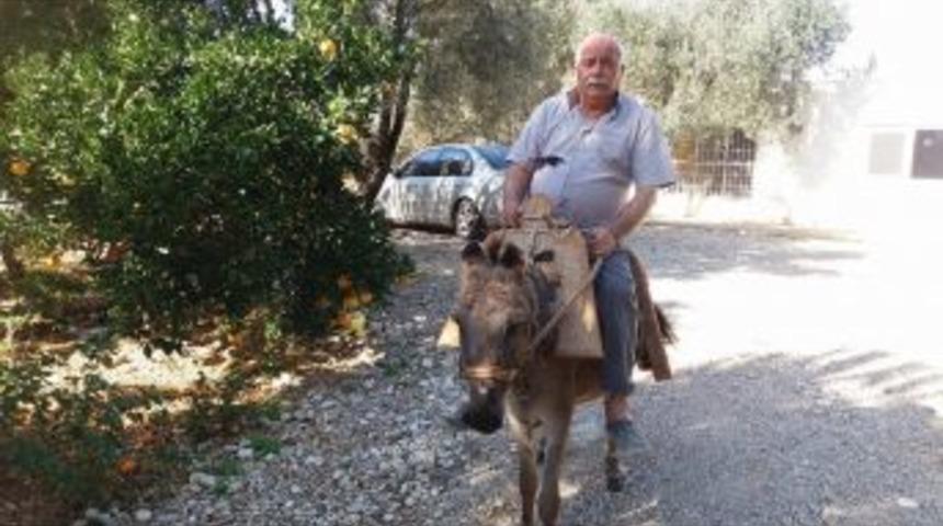 Eşekli Muhtarın Eşeği &Ouml;ld&uuml;