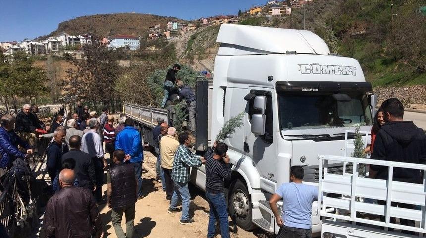 Öğrencilerin Yetiştirdiği Fidanlar Tunceli’de Dağıtıldı