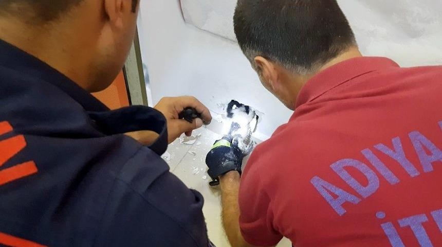 Yavru Kedi Duvar Kırılarak Kurtarıldı
