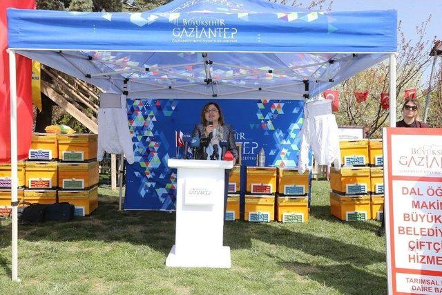 Çiftçilere Arı Kovanı Ve Dal Öğütme Makinesi 2