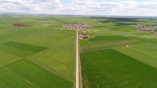 Şanlıurfa Tarihinde İlk Defa Beton Yol Yapıldı