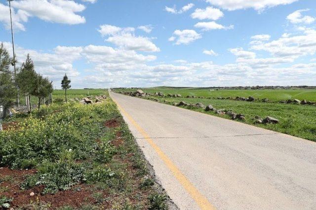 Şanlıurfa Tarihinde İlk Defa Beton Yol Yapıldı