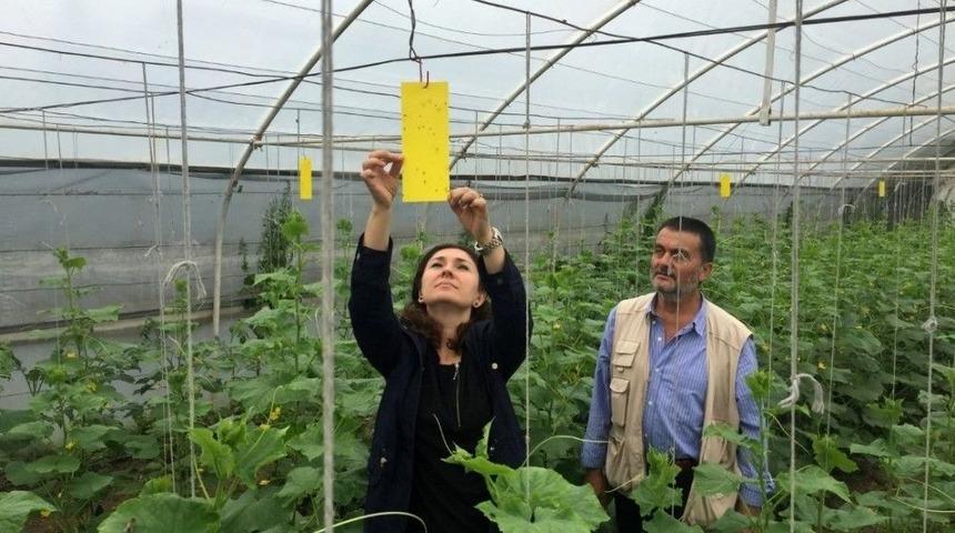 Kocaeli&rsquo;de &Ccedil;ift&ccedil;iler İla&ccedil;sız M&uuml;cadeleye Teşvik Ediliyor