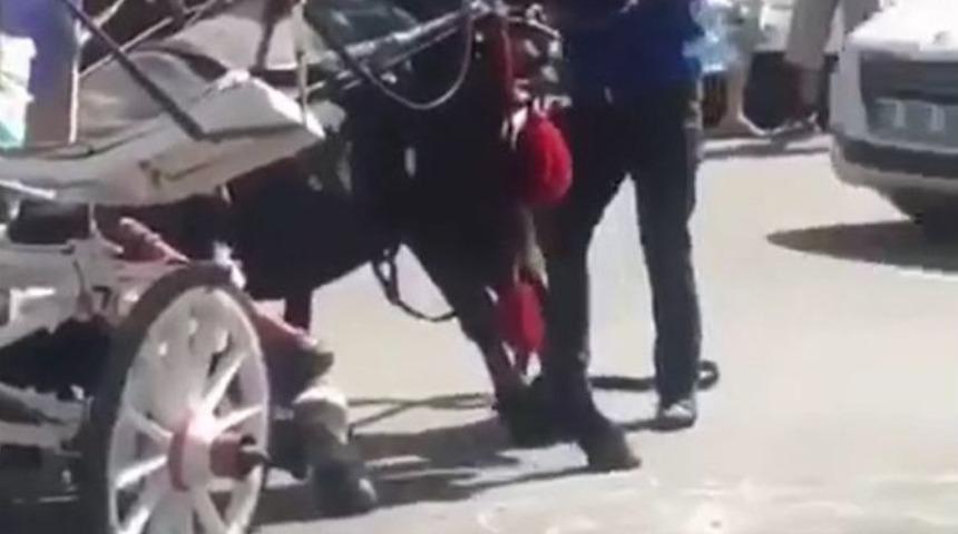 Faytona Koşulan At Aşırı Sıcaktan Yere Yığıldı