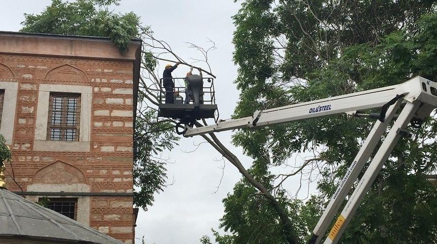 Fatih&rsquo;te Ağa&ccedil; Devrildi Faciadan D&ouml;n&uuml;ld&uuml;
