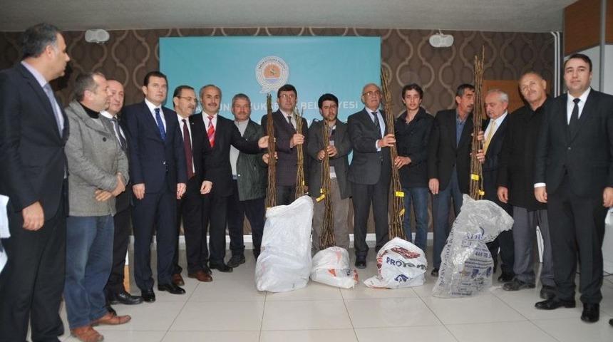B&uuml;y&uuml;kşehir Belediyesi 2 Bin Ceviz Fidanı Dağıttı