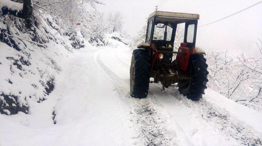G&uuml;meli Tepesi Beyaza B&uuml;r&uuml;nd&uuml;