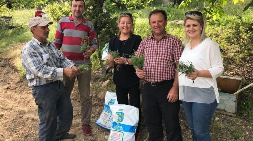 Kırklareli&rsquo;nde Lavanta Ekildi