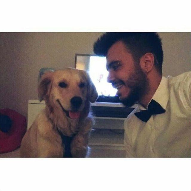 Eski Sevgililerin Köpek Davası Avukatlar Yüzünden Yarım Kaldı