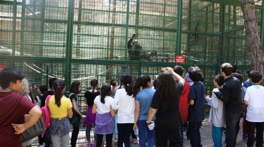 &Ccedil;amlıca Okullarından Gaziantep&rsquo;e Gezi