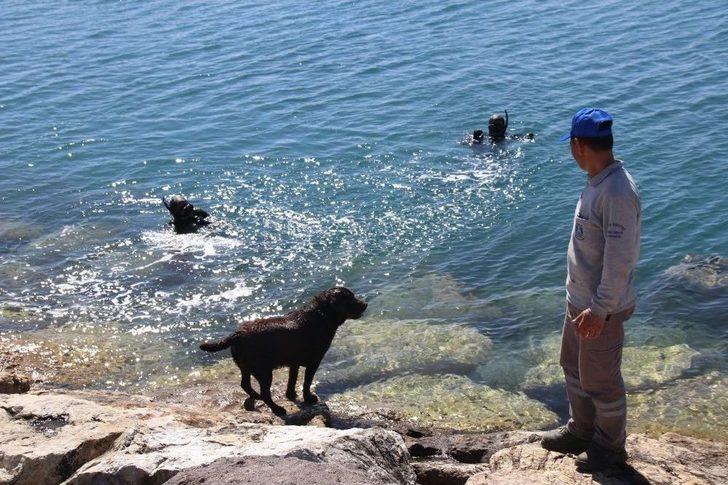 Bodrum Ortakent Deniz Dibi Temizliğinde Neşeli Anlar G4
