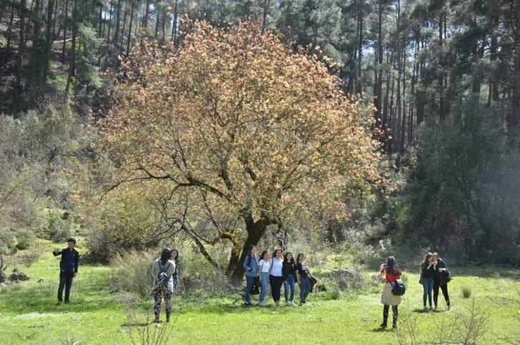 Sdü ‘keşif Isparta’ Bahar Dönemi Gezilerine Kovada’dan Başladı G5
