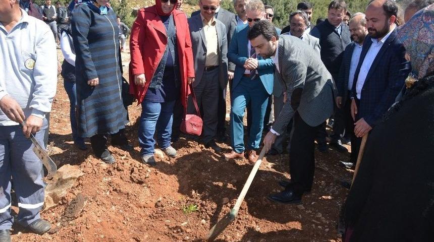 Şehit Yasin Naci Ağaroğlu İ&ccedil;in Hatıra Ormanı