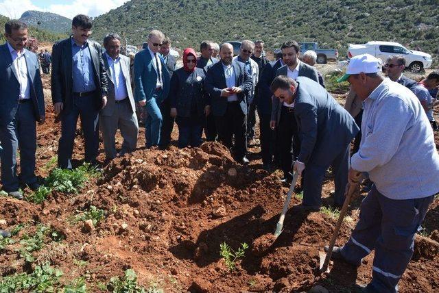 Şehit Yasin Naci Ağaroğlu İçin Hatıra Ormanı