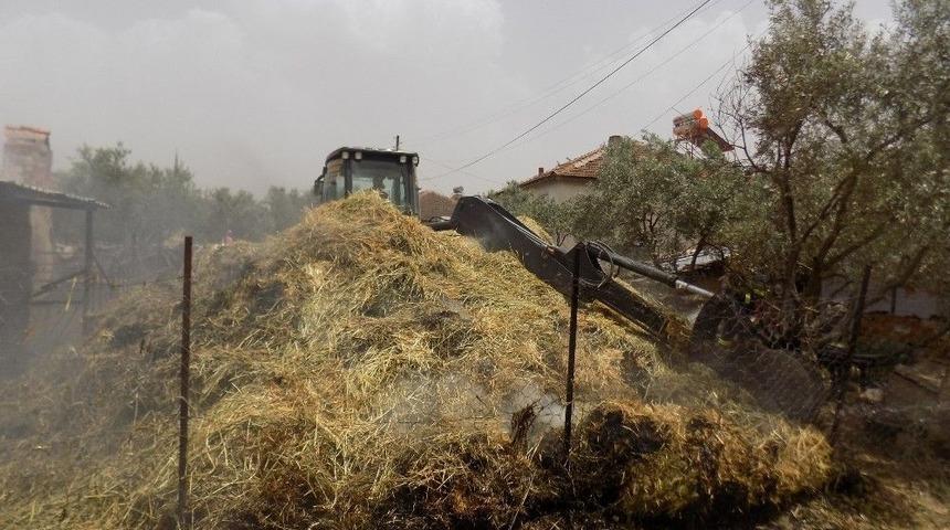 260 Paket Saman Kül Oldu