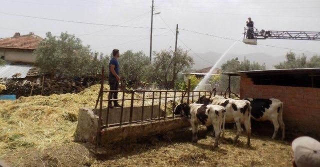 260 Paket Saman Kül Oldu