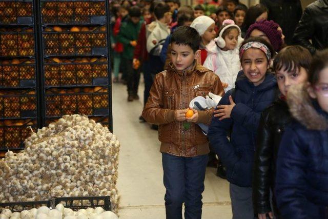 Meyve Ve Sebze Hali’ne Öğrencilerden Anlamlı Ziyaret