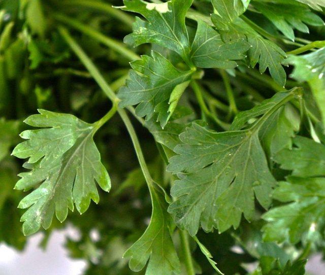 Üst Solunum Yolu Enfeksiyonlarına Karşı 8 Süper Besin 4