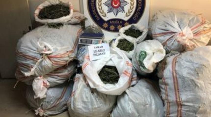 Muğla Merkezli 4 İlde Uyuşturucu Operasyonu