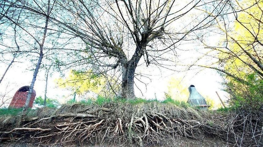 Lise &Ouml;ğrencileri Fotoğraf Yarışmasına Katıldı