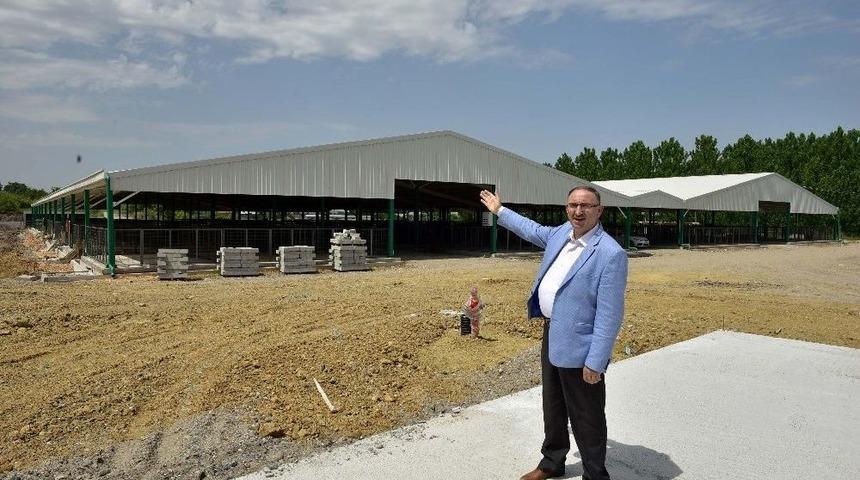 Hayvancılığa Dev Yatırım