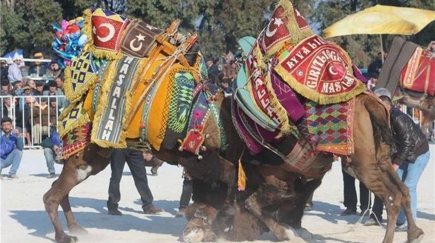 Şampiyon Develer 10 Aralık&rsquo;ta Didim Arenasında Olacak