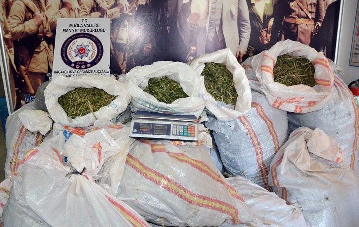 1 Milyon Liralık Uyuşturucu Nefes Kesen Operasyonla Ele Geçirildi G4