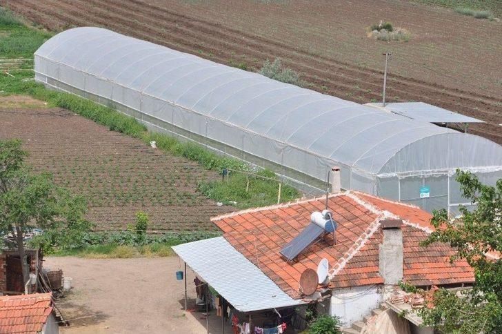 Büyükşehirin Sağladığı Sera Desteği Üreticiyi Kalkındırıyor G5