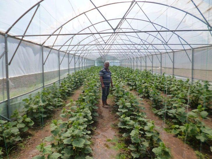 Büyükşehirin Sağladığı Sera Desteği Üreticiyi Kalkındırıyor G3