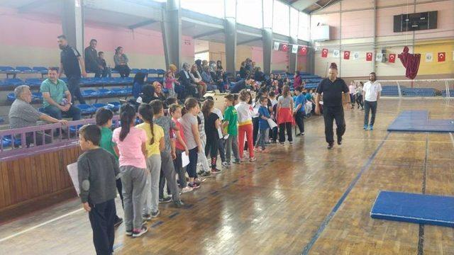 Türkiye Sportif Yetenek Taraması Ve Spora Yönlendirme Projesi Alaplı’da Startı Verildi